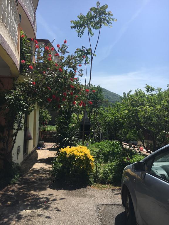 Sunny Villa Apartments Budua Esterno foto