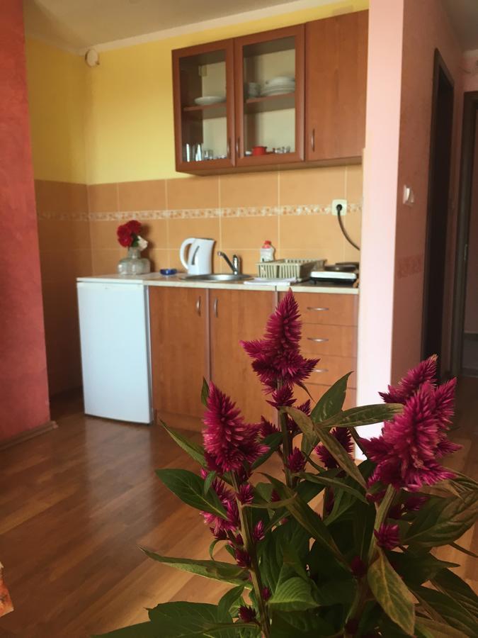 Sunny Villa Apartments Budua Esterno foto